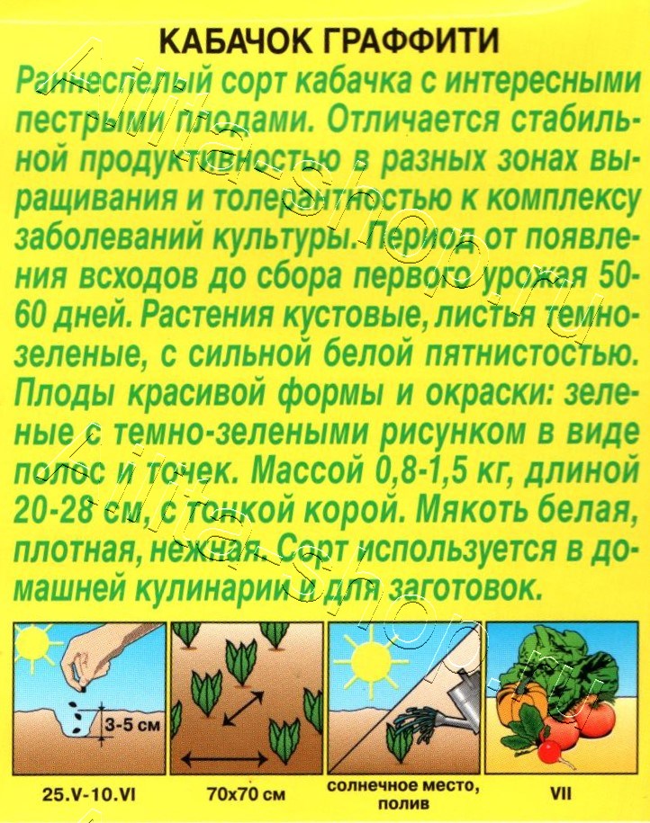 Кабачок цуккини Граффити 2г