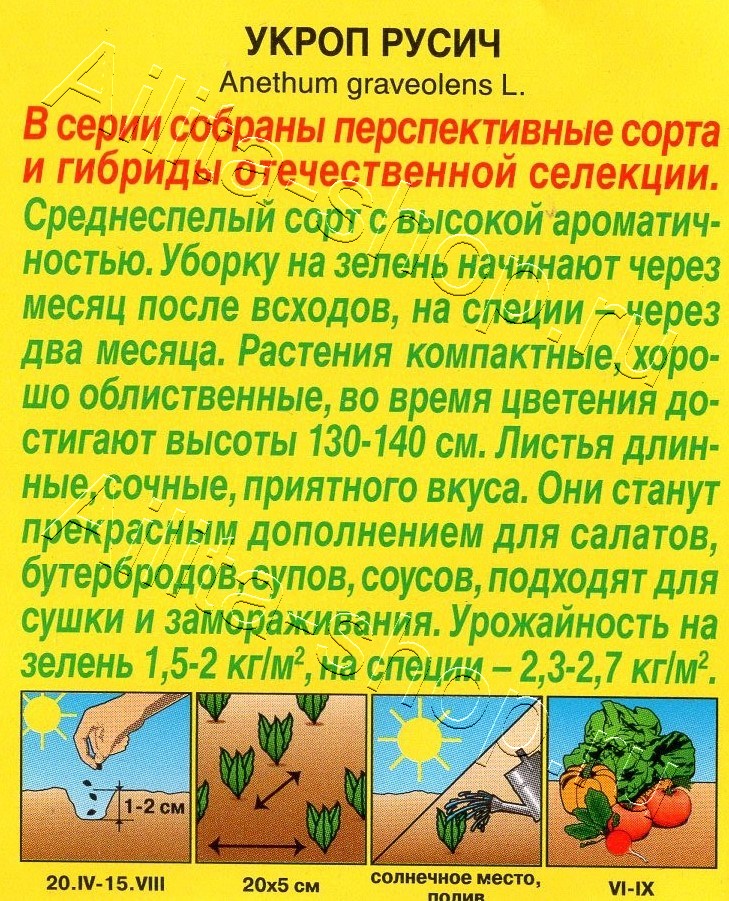 Укроп Русич 2г