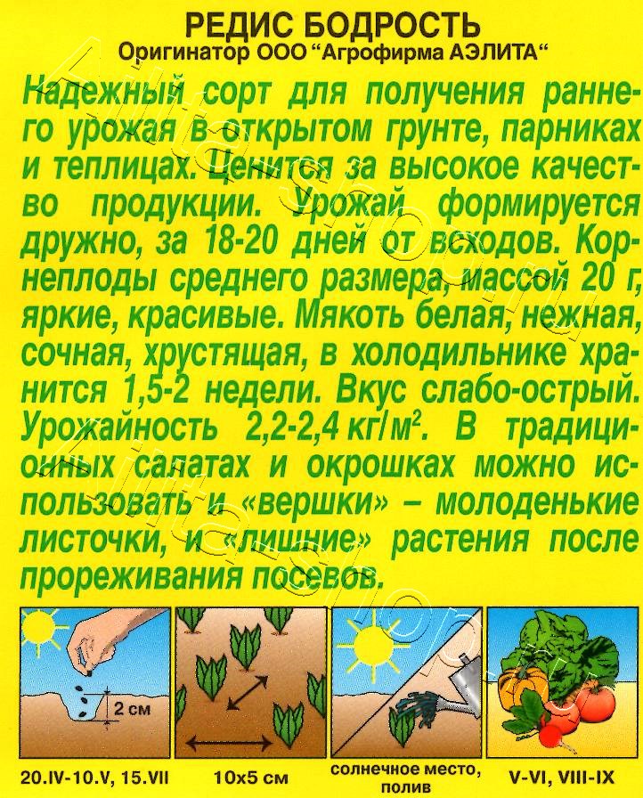 Редис Бодрость 2г