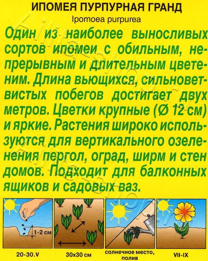 Ипомея Гранд 0,5г