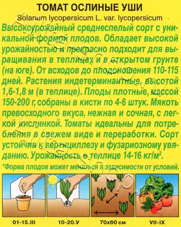 Томат Ослиные уши 15шт