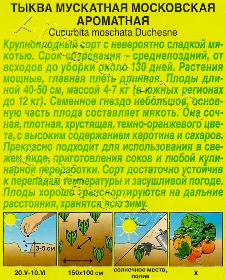 Тыква мускатная Московская ароматная 1г