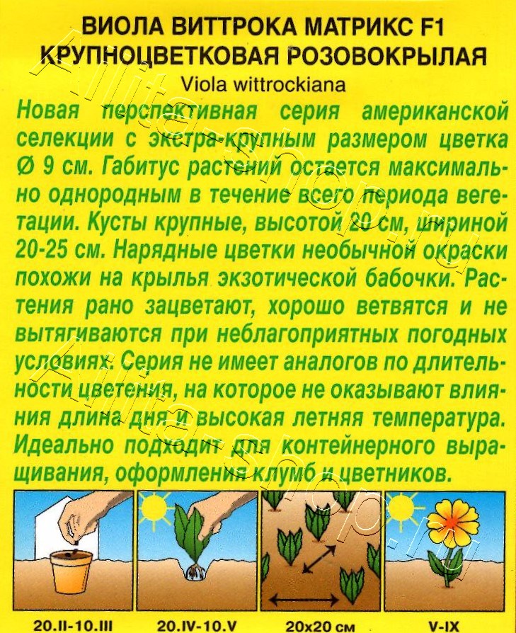 Виола Матрикс F1 розовокрылая крупноцветковая 5шт