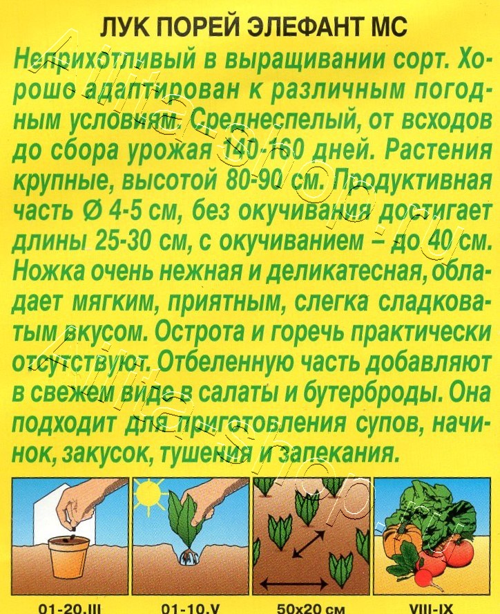 Лук порей Элефант МС 0,5г