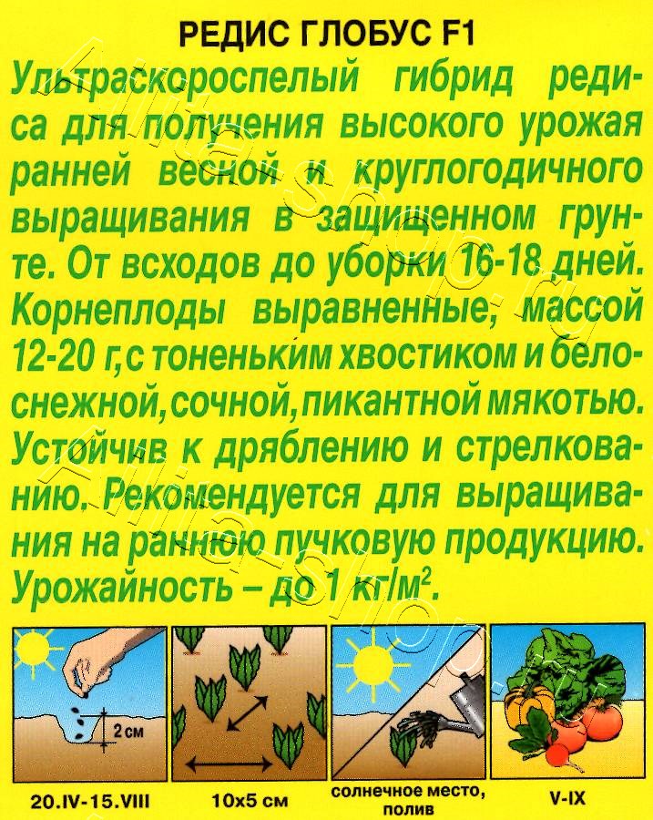 Редис Глобус F1 2г