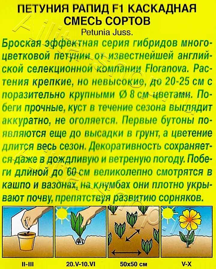 Петуния Рапид F1 многоцветковая каскадная, смесь окрасок 4шт