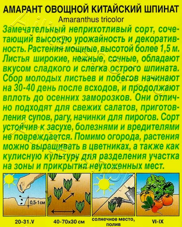 Амарант овощной Китайский шпинат 0,3г
