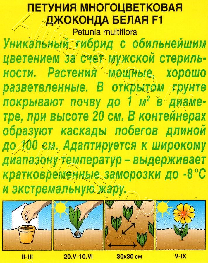 Петуния Джоконда F1 белая 5шт