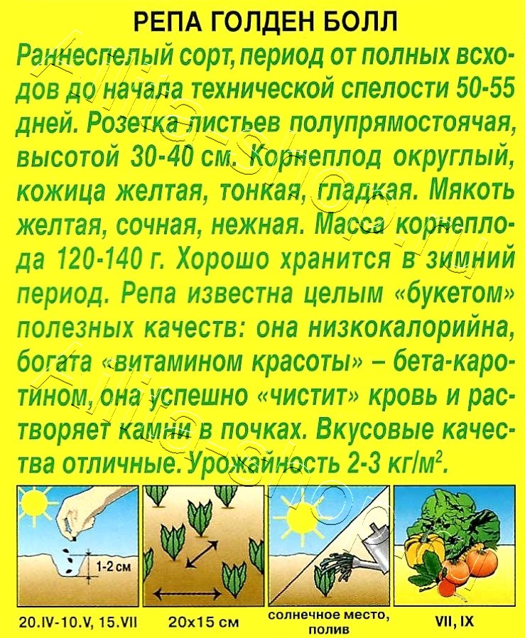 Репа Голден болл 1г