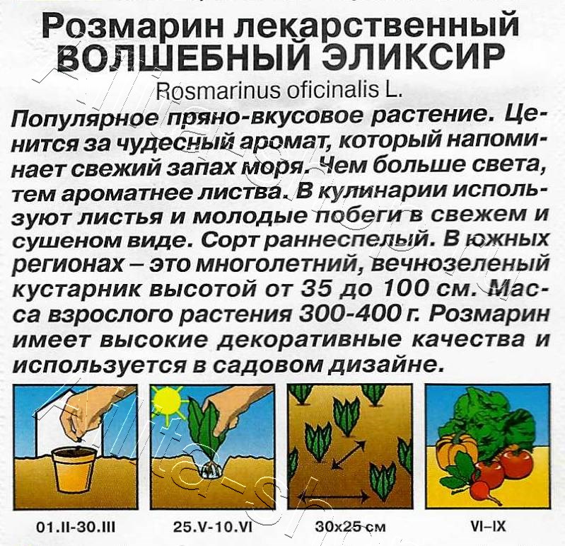 Розмарин Волшебный эликсир 20шт