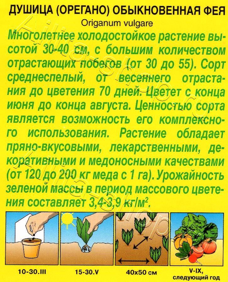 Душица обыкновенная Фея 0,05г