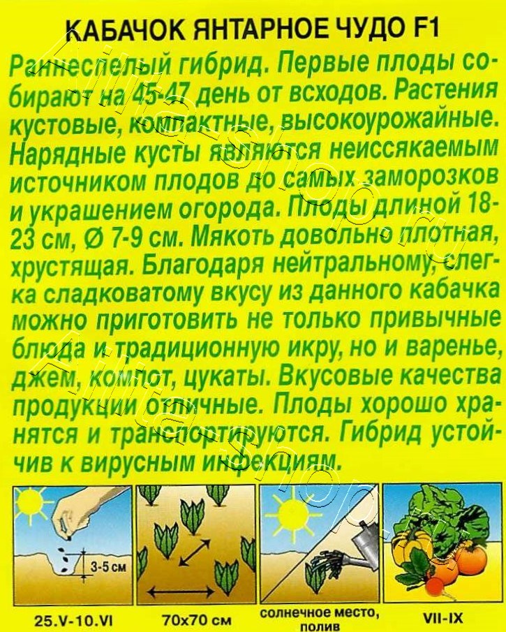 Кабачок цуккини Янтарное чудо F1 5шт