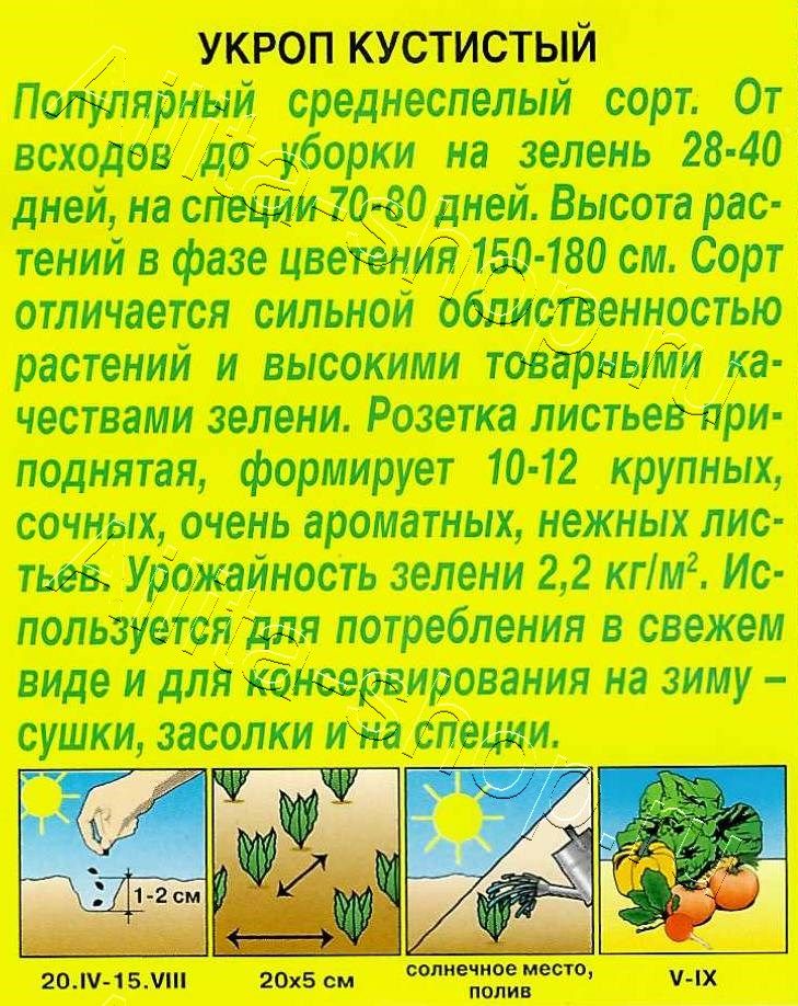 Укроп Кустистый 2г