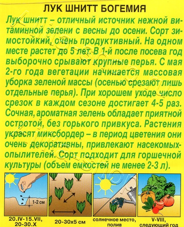 Лук шнитт Богемия 0,3г