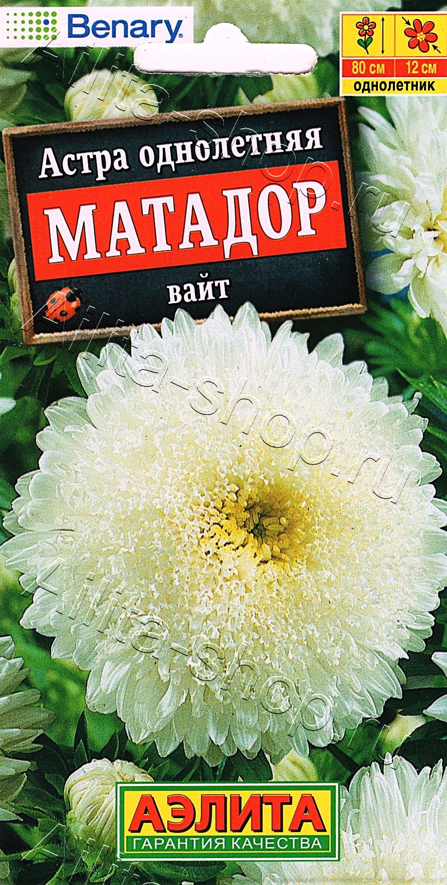 Астра Матадор вайт 10шт