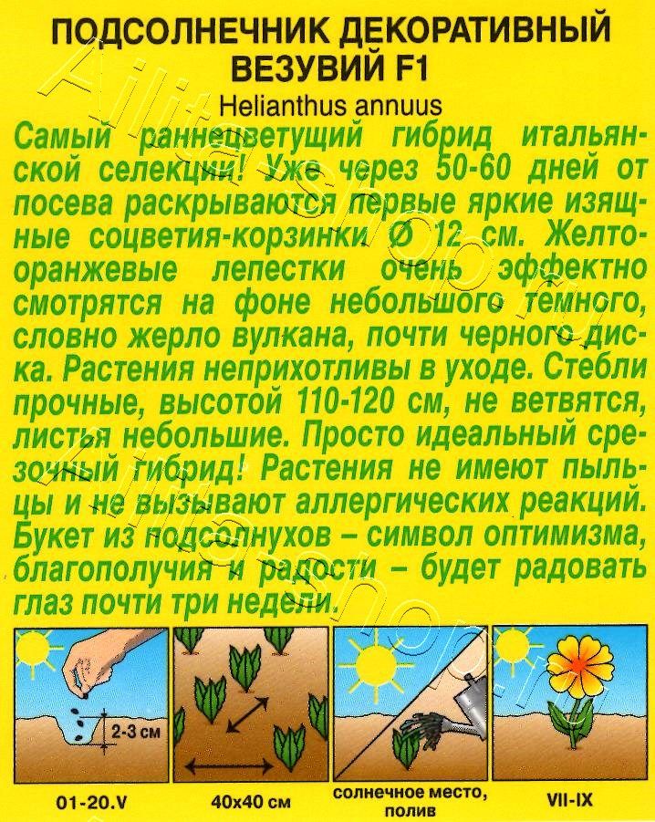 Подсолнечник декоративный Везувий F1 5шт