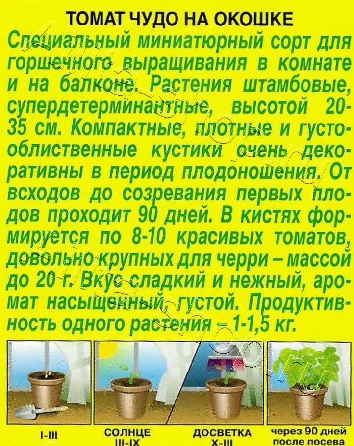 Томат Чудо на окошке 20шт