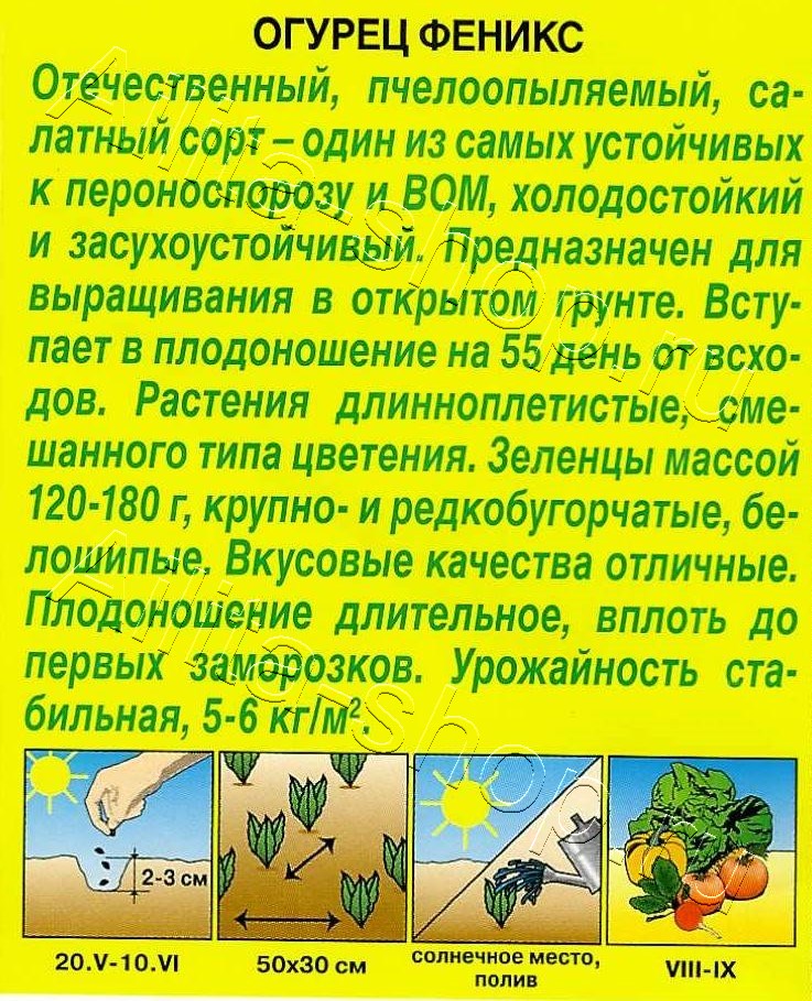 Огурец Феникс 20шт