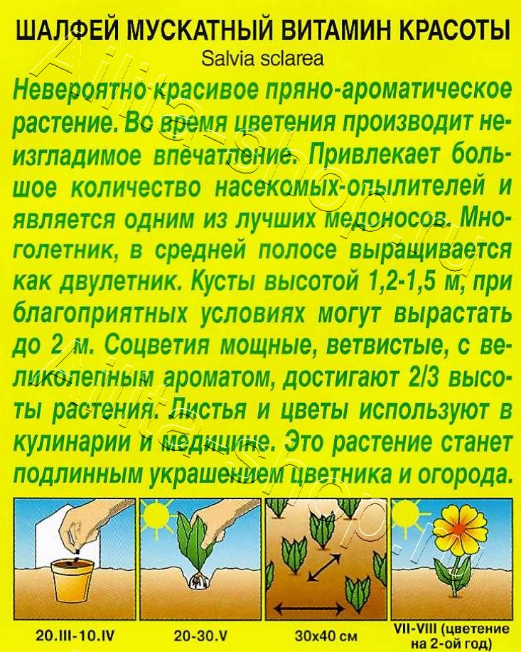 Шалфей мускатный Витамин красоты 0,2г