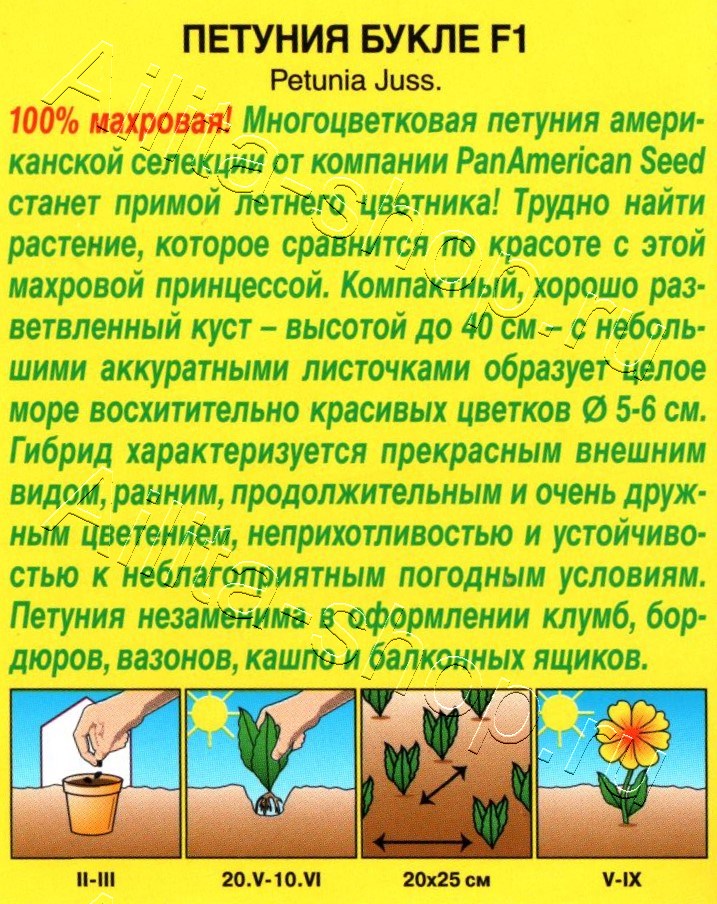 Петуния Букле F1 многоцветковая махровая 5шт