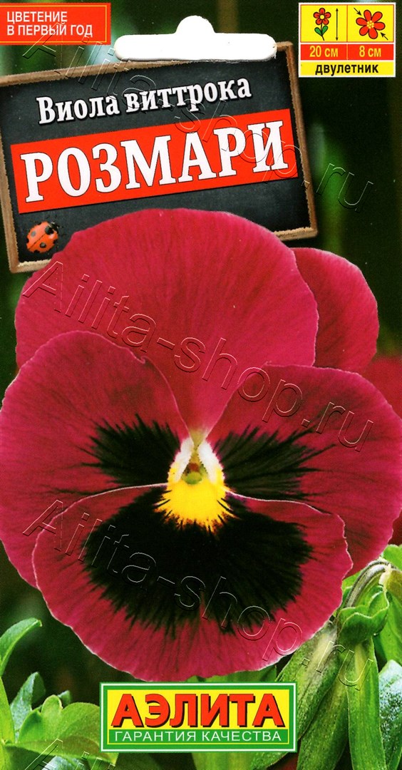 Виола Розмари 20шт