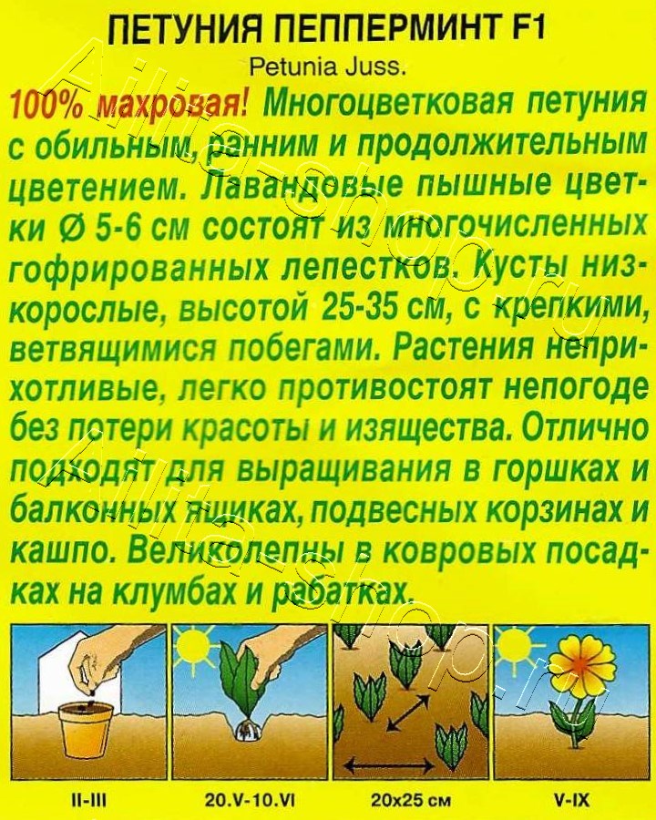 Петуния Пепперминт F1 многоцветковая махровая 5шт