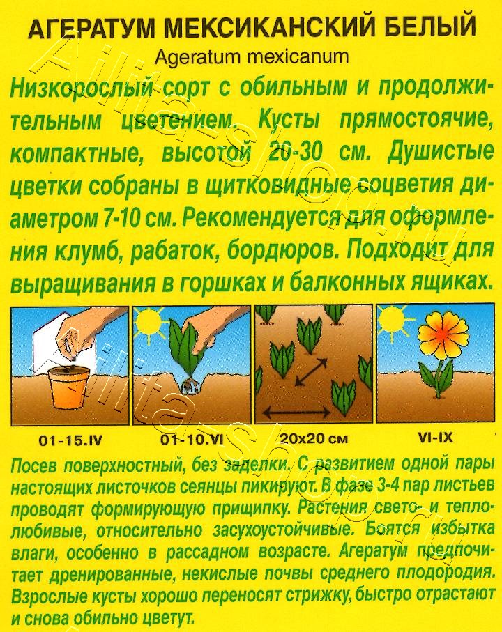 Агератум Мексиканский белый 0,05г