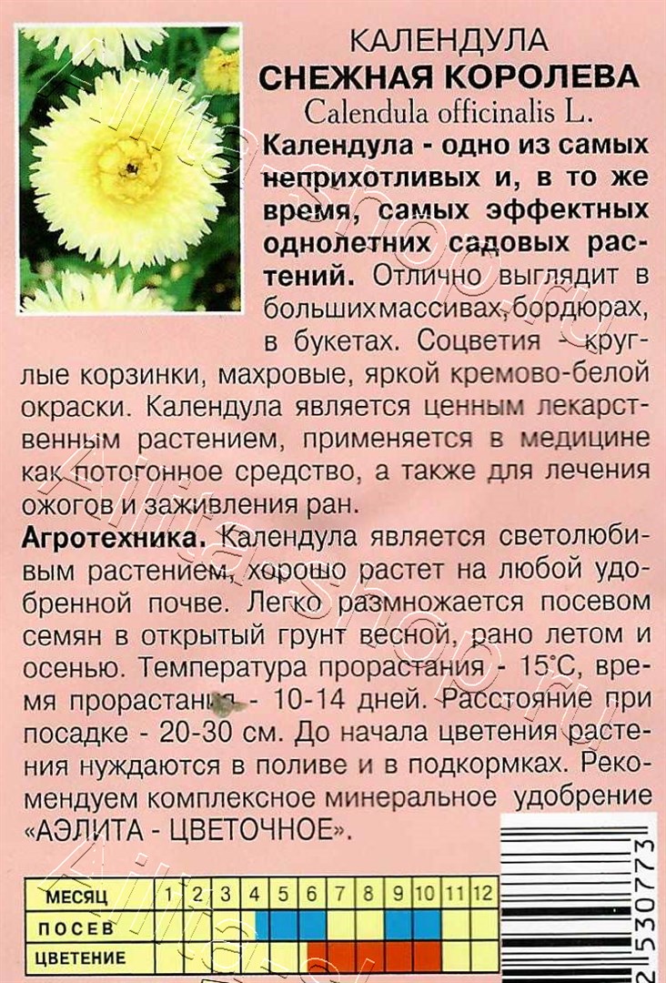 Календула Снежная королева 0,5г