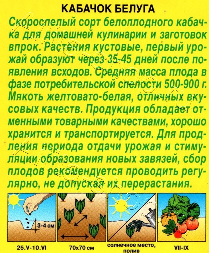 Кабачок Белуга 1г