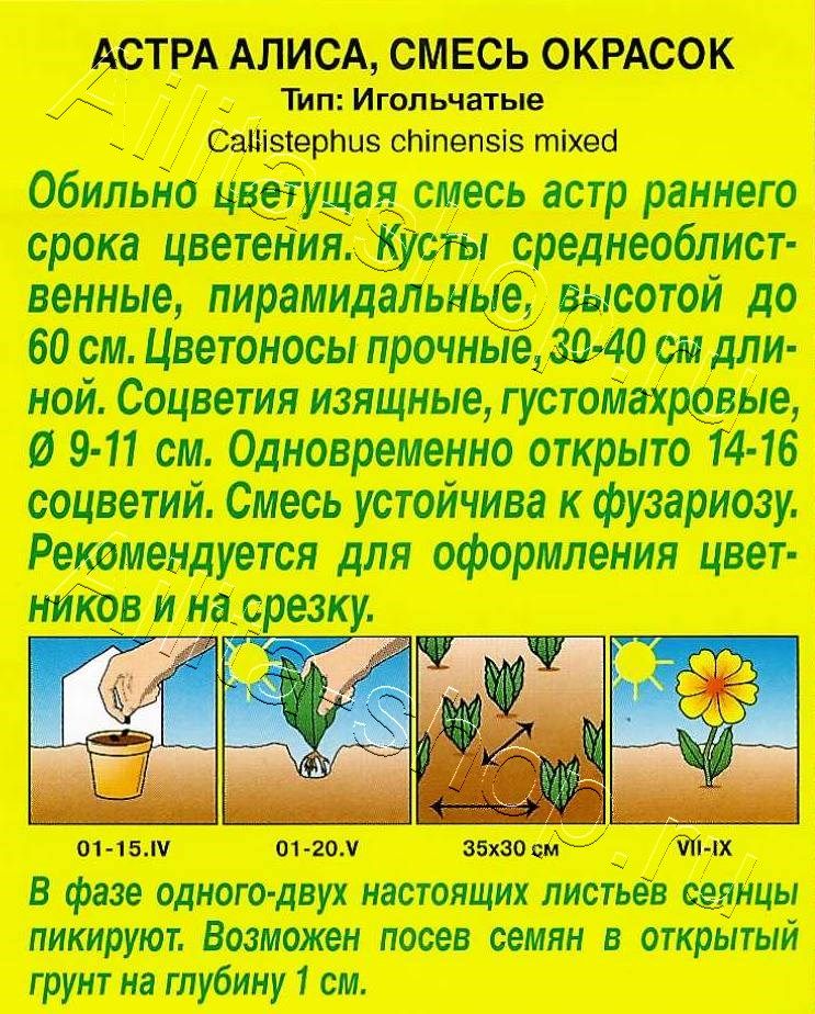 Астра Алиса, смесь окрасок 0,2г