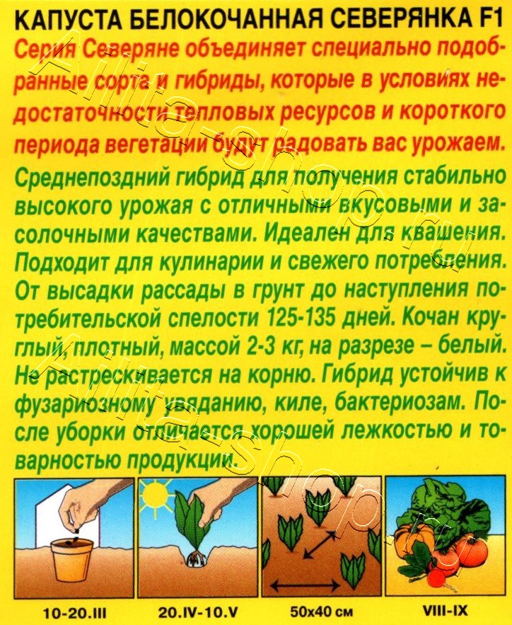 Капуста белокочанная Северянка F1 0,1г