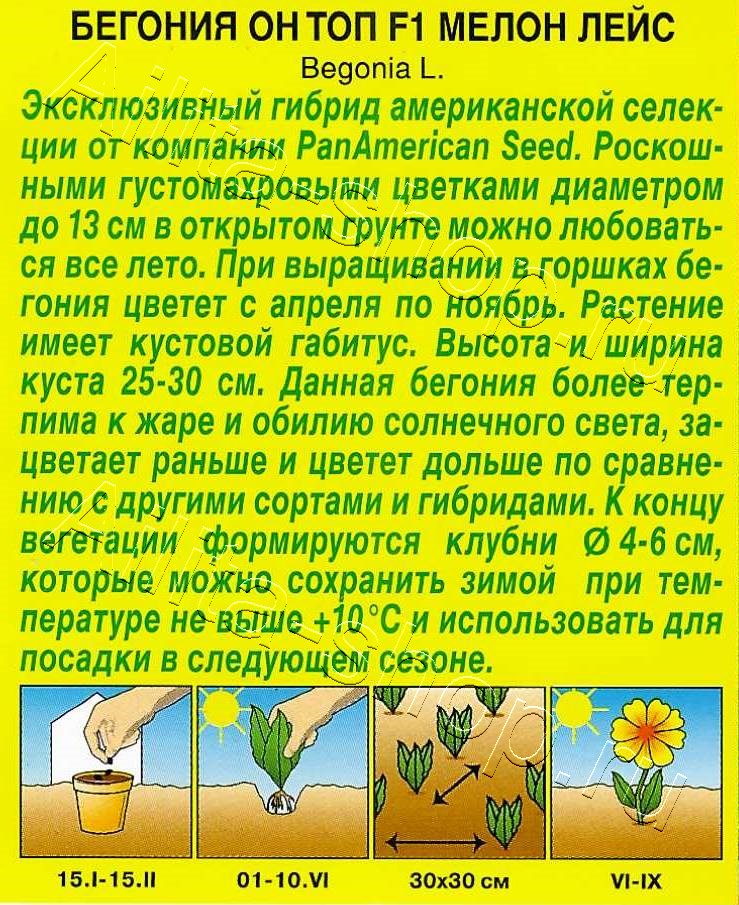 Бегония Он Топ F1 мелон лейс 5шт
