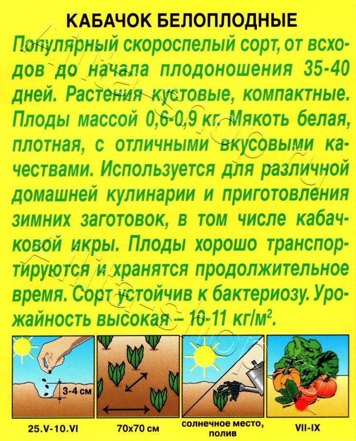 Кабачок Белоплодные 2г