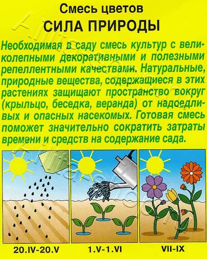 Смесь цветов Сила природы 2г