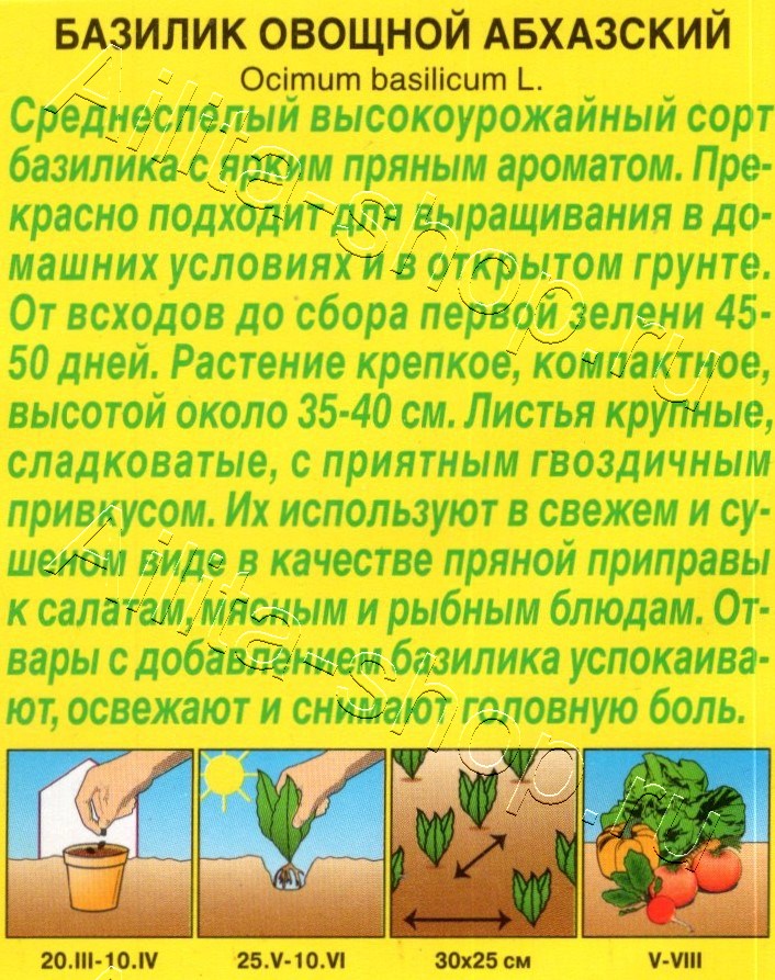 Базилик овощной Абхазский 0,2г