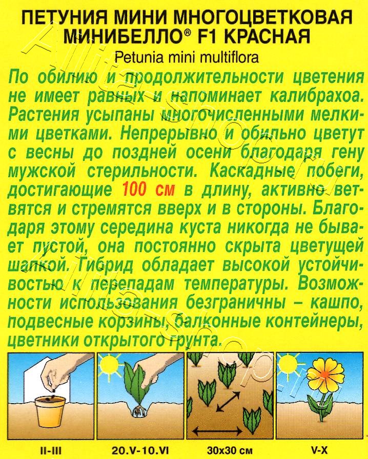 Петуния мини Минибелло F1 красная многоцветковая 5шт