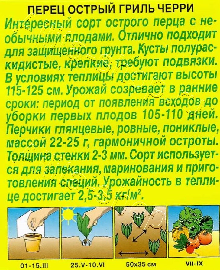 Перец острый Гриль черри 20шт