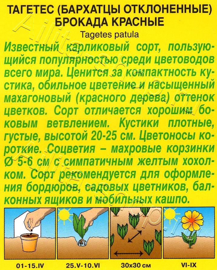 Бархатцы Брокада красные 0,3г