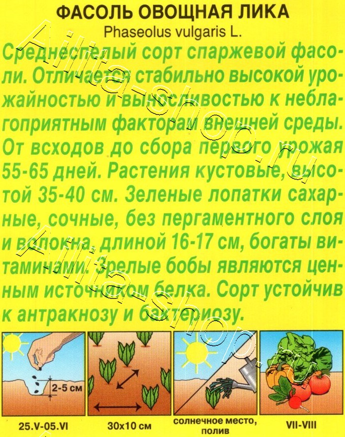 Фасоль овощная Лика 5г