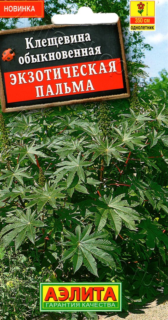 Клещевина Экзотическая пальма 0,5г