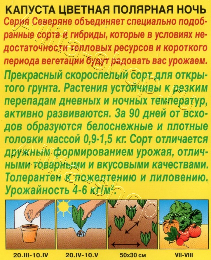 Капуста цветная Полярная ночь 0,3г