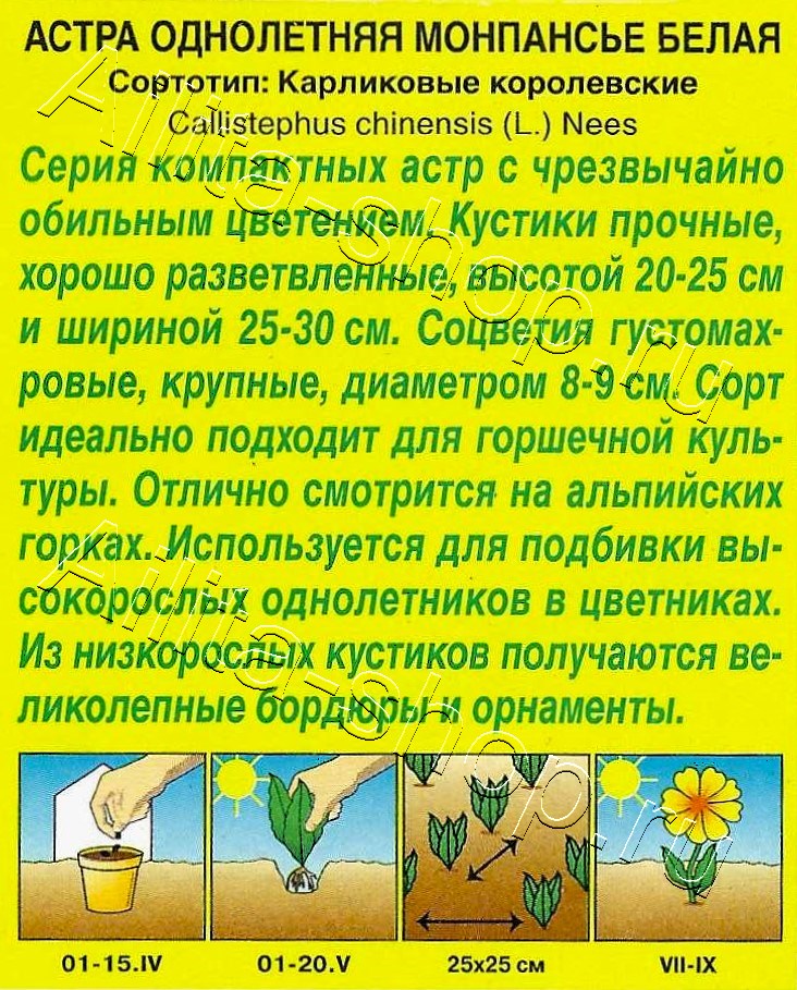 Астра Монпансье белая 0,2г