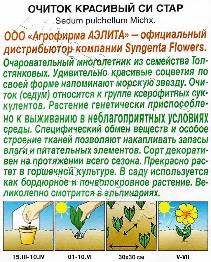 Очиток красивый Си стар 10шт