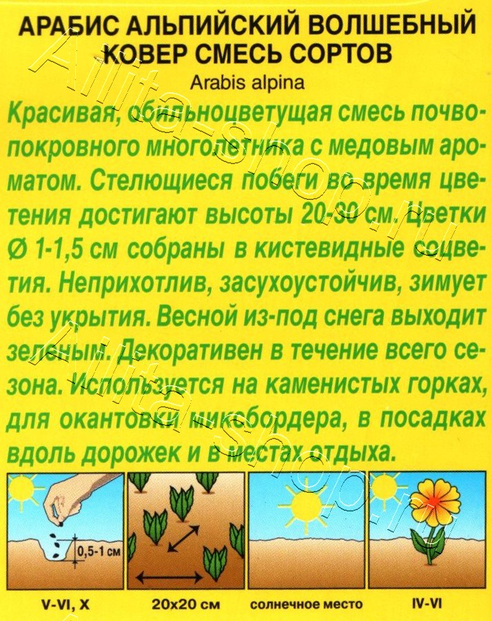 Арабис Волшебный ковер, смесь окрасок 0,1г