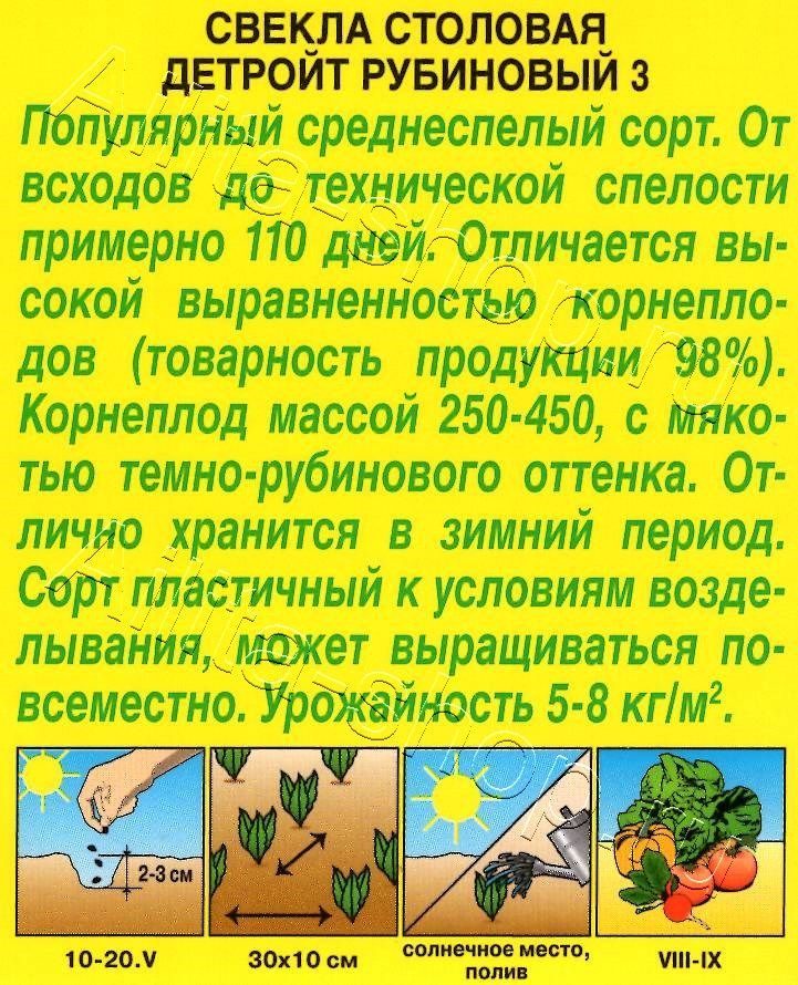 Свекла столовая Детройт рубиновый 3 3г