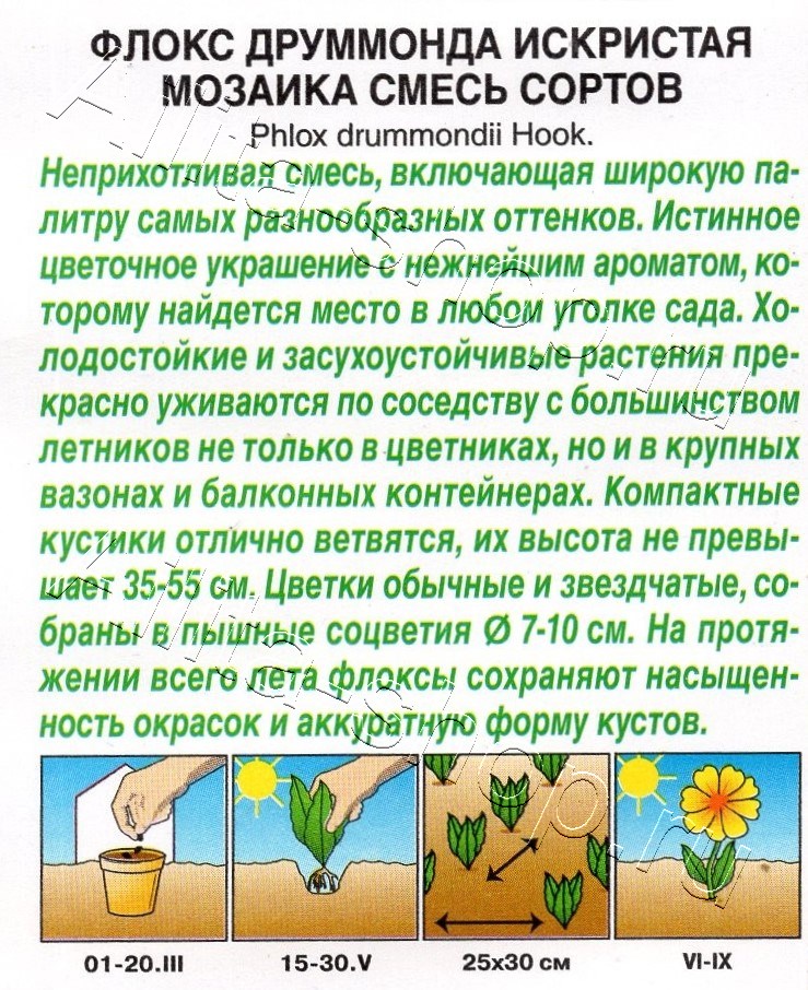 Флокс друммонда Искристая мозаика, смесь сортов 0,1г