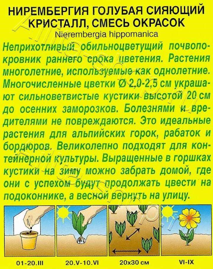 Нирембергия Сияющий кристалл, смесь окрасок 0,02г