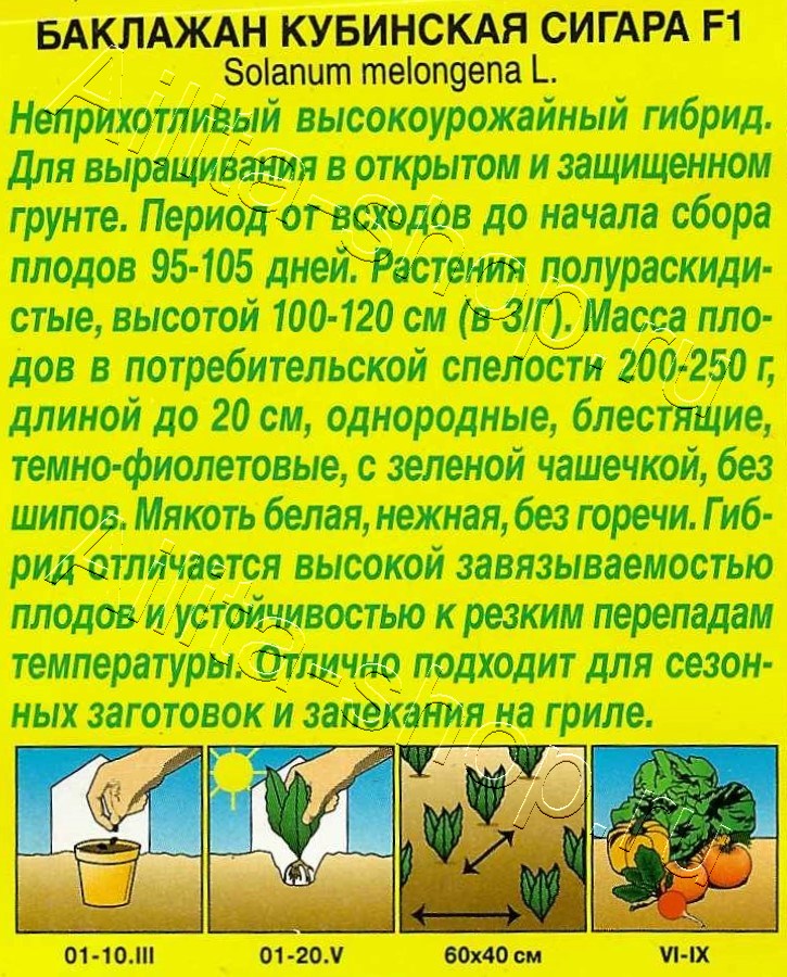 Баклажан Кубинская сигара F1 7шт