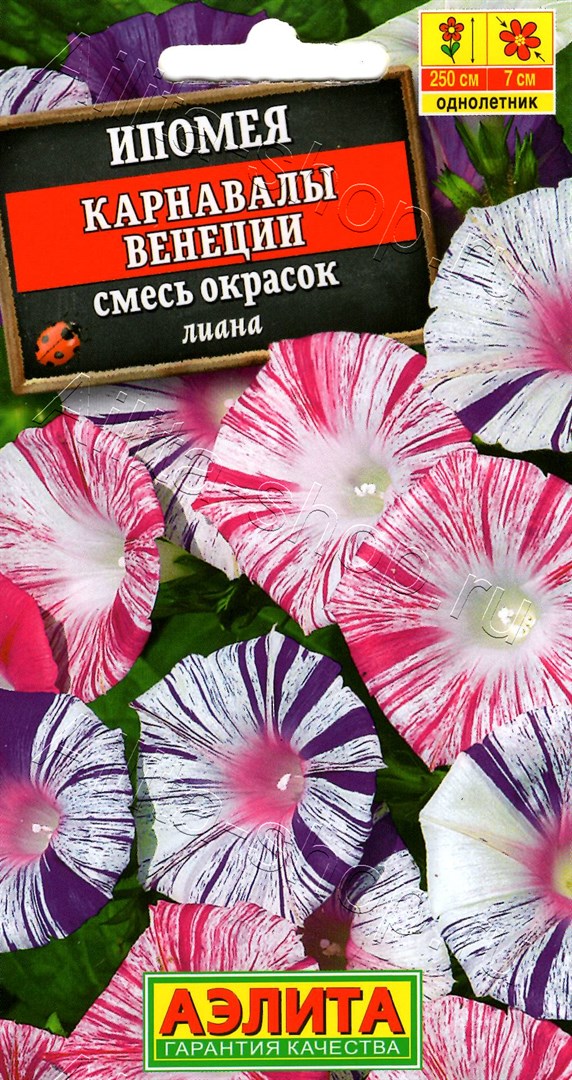 Ипомея Карнавалы Венеции, смесь сортов 9шт