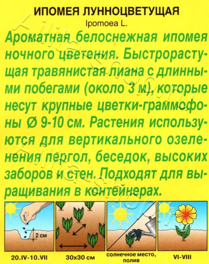 Ипомея Лунноцветущая 1,2г